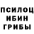 Галлюциногенные грибы Cubensis fixayt