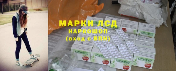 индика Алзамай