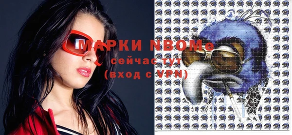 индика Алзамай