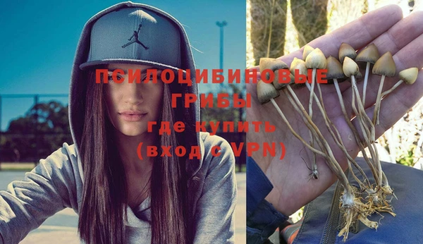 индика Алзамай