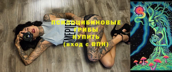 дмт Алексеевка