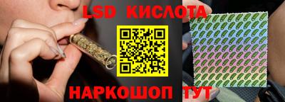 шишки Краснознаменск