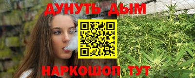 шишки Краснознаменск