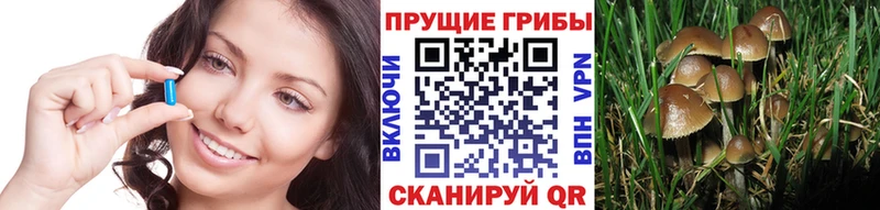 кракен зеркало  Добрянка  это наркотические препараты  что такое   Галлюциногенные грибы мицелий 