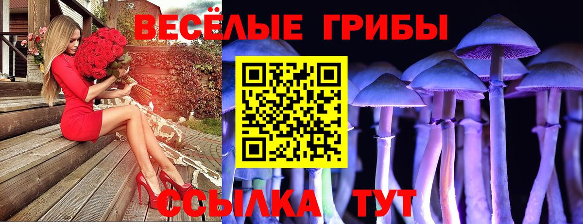 Галлюциногенные грибы Cubensis Добрянка