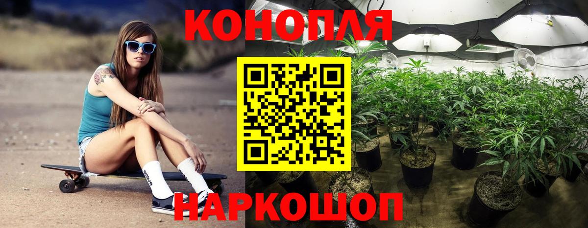 Бошки Шишки семена  Бошки Шишки Amnesia  Вход с VPN  Каннабис индика  Добрянка 